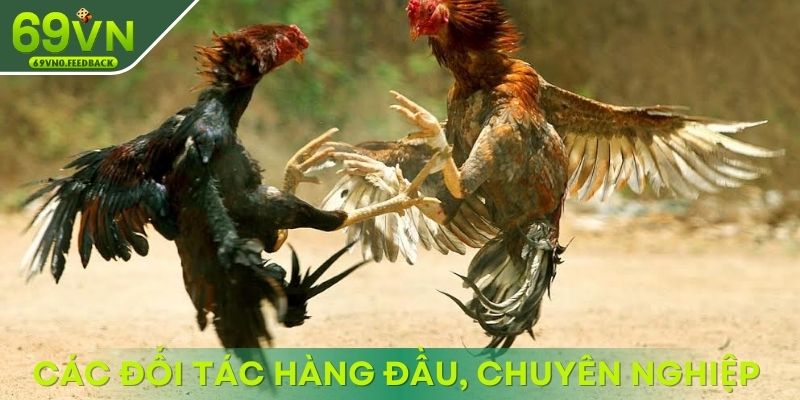Các đối tác hàng đầu tạo nên sân chơi chuyên nghiệp