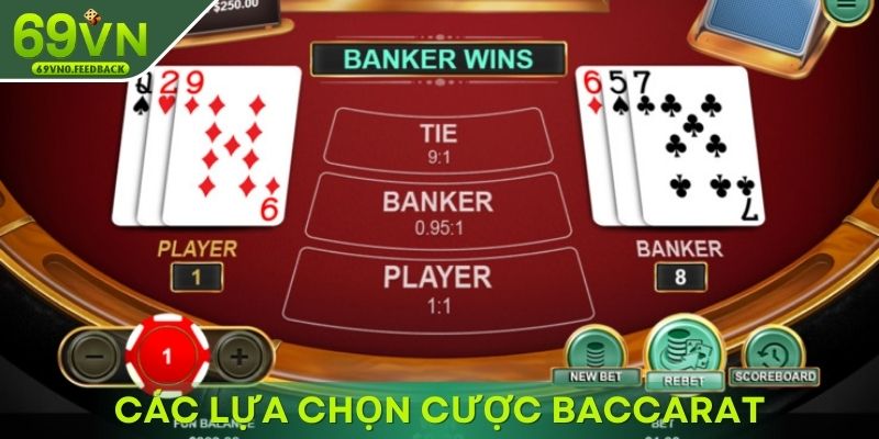 Các lựa chọn cược Baccarat được ưa chuộng nhất
