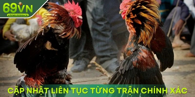 Cập nhật liên tục từng trận siêu chính xác Cập nhật liên tục từng trận siêu chính xác