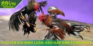 chuyen gia binh luan keo hap dan tung phut