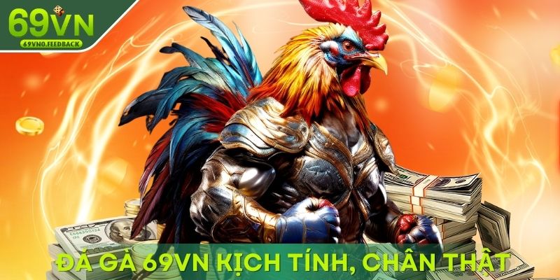 Đá gà 69VN kịch tính, tái hiện chân thật từng đòn Đá gà 69VN kịch tính, tái hiện chân thật từng đòn