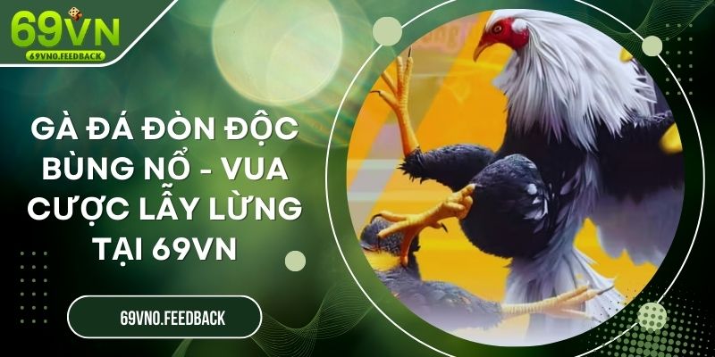 Gà Đá Đòn Độc Bùng Nổ - Vua Cược Lẫy Lừng Tại 69VN