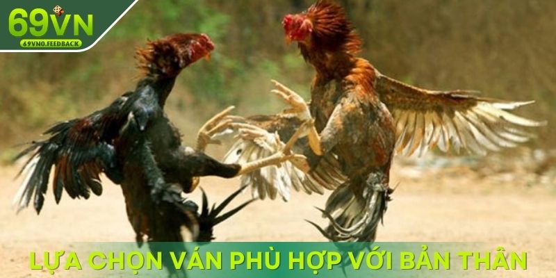 Lựa chọn ván so tài phù hợp với bản thân Lựa chọn ván so tài phù hợp với bản thân