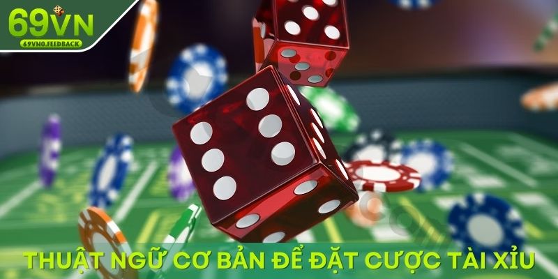 Thuật ngữ cơ bản để đặt cược tài xỉu dễ dàng hơn Thuật ngữ cơ bản để đặt cược tài xỉu dễ dàng hơn