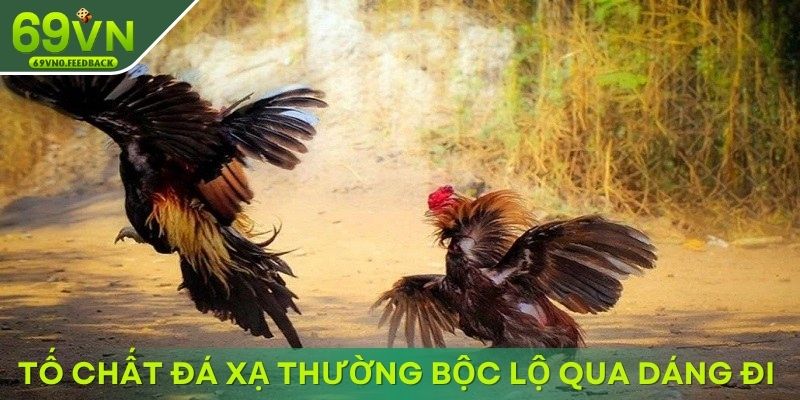 Tố chất đá xạ thường bộc lộ qua dáng đi Tố chất đá xạ thường bộc lộ qua dáng đi
